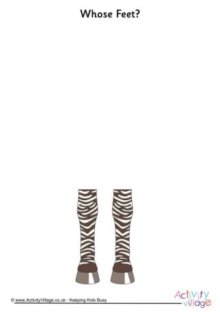 Whose Feet Zebra