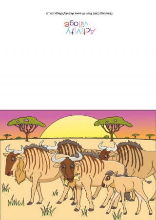 Wildebeest Scene Card