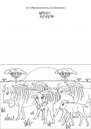 Wildebeest Scene Colouring Card