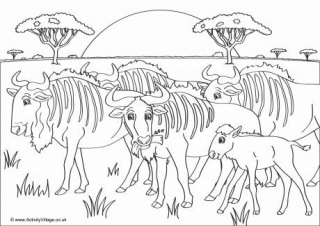 Wildebeest Scene Colouring Page