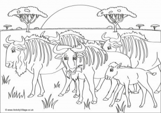 African Animal Colouring Pages