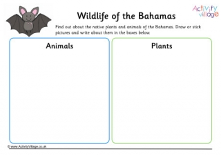 Wildlife of Bahamas Worksheet