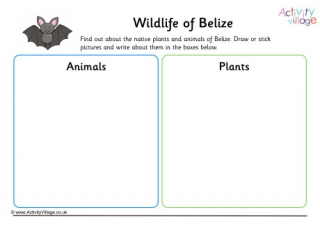 Wildlife Of Belize Worksheet