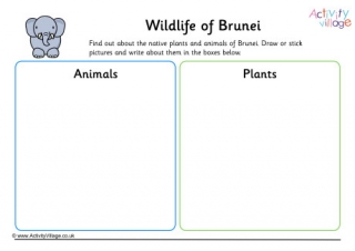 Wildlife Of Brunei Worksheet