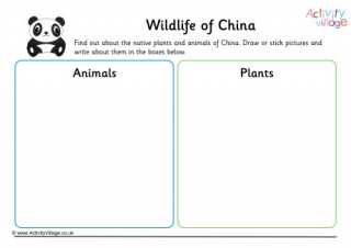 Wildlife Of China Worksheet