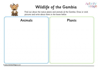 Wildlife Of Gambia Worksheet