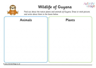 Wildlife Of Guyana Worksheet