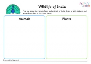 Wildlife Of India Worksheet