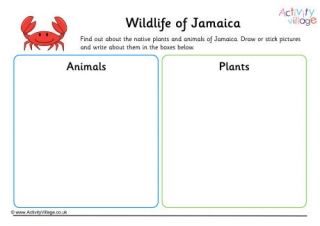 Wildlife Of Jamaica Worksheet