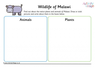 Wildlife Of Malawi Worksheet