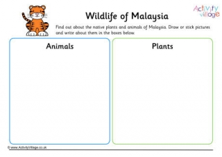 Wildlife Of Malaysia Worksheet