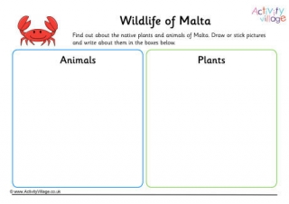 Wildlife Of Malta Worksheet