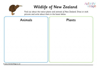 Wildlife Of New Zealand Worksheet
