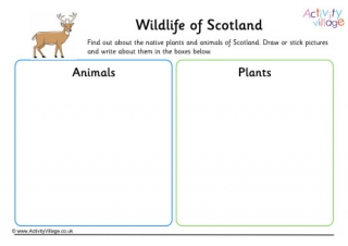 Wildlife Of Scotland Worksheet
