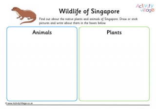 Wildlife Of Singapore Worksheet