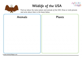 Wildlife Of USA Worksheet