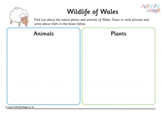 Wildlife Of Wales Worksheet