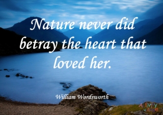 William Wordsworth Quote Poster