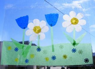 Window Pictures