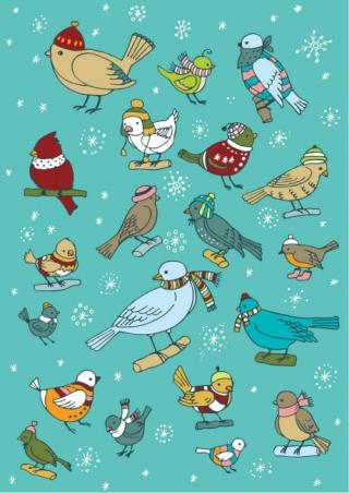 Winter Birds Scrapbook Paper