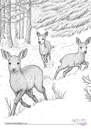 Winter Deer Colouring Page 2