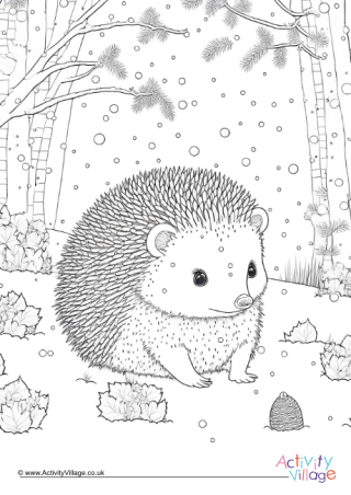 Winter Hedgehog Colouring Page 2
