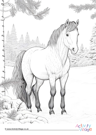Winter Horse Colouring Page