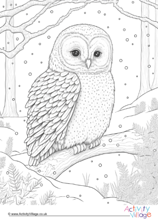 Winter Owl Colouring Page 1