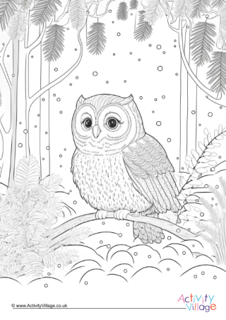 Winter Owl Colouring Page 2
