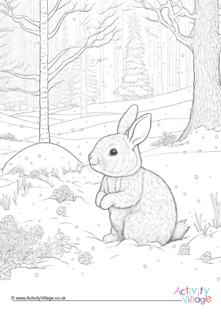 Winter Rabbit Colouring Page 1