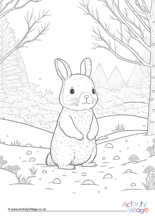 Rabbit Drawing Easy Step By Step For Kids/Beginners
