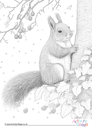 Winter Squirrel Colouring Page 1