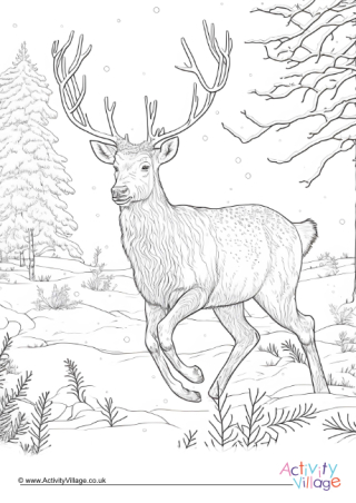 Winter Stag Colouring Page