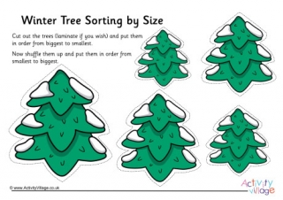 Winter Tree Size Sorting