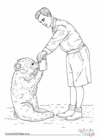 Wojtek the Soldier Bear Colouring Page