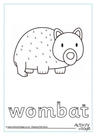 Wombat Finger Tracing