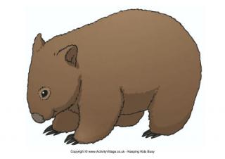 Wombat Poster