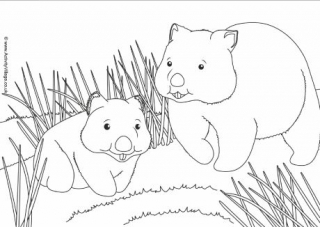 Wombat Scene Colouring Page