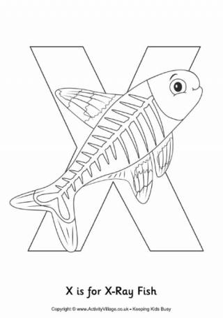 X is for Xray Fish Colouring Page