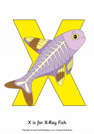 X is for Xray Fish Poster