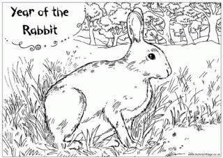 Year of the Rabbit Colouring Page