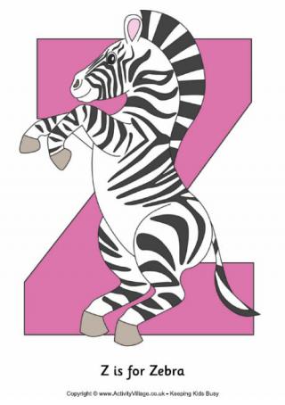 Z is for Zebra Poster