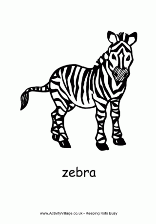 Zebra Colouring Page 2