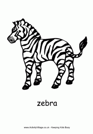 Zebra Colouring Page