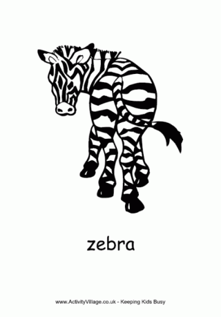 Zebra Colouring Page