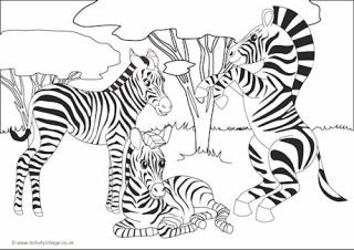 Zebras Scene Colouring Page