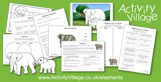 New Elephant Resources