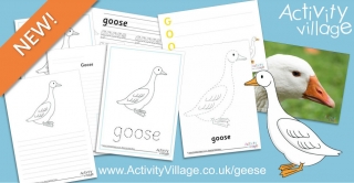 New Geese Activities