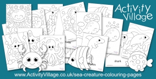 New Sea Creature Colouring Pages