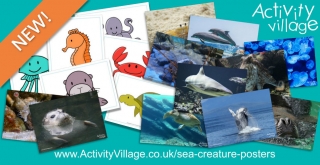 New Sea Creature Posters - Two Types